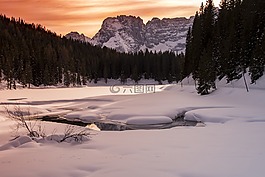 旅行,雪,樹