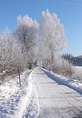 雪,冬天,寒冬