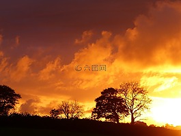 日落,火,树