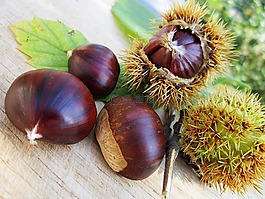 栗子,螺母,食品