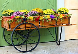 花購物車,車皮,媽媽