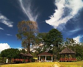 天空,藍色,草