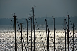 帆,海,帆船