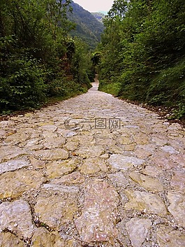 徑,地板,石頭