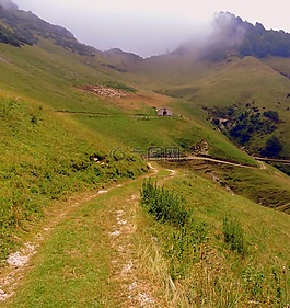 徑,徒步旅行,山