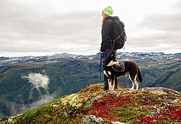 狗,山,徒步旅行