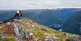 狗,山,徒步旅行