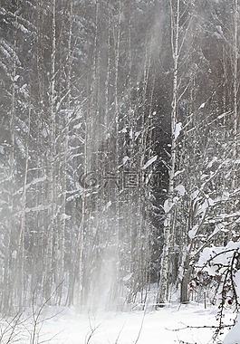 冬天,風暴,暴風雪