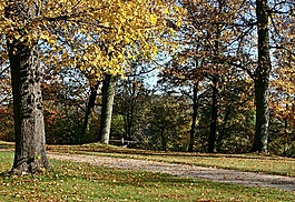 公園,離,秋季