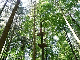 登山森林,高空绳索课程,爬