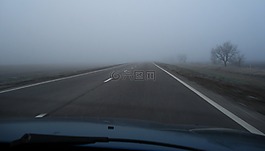 霧,路,運(yùn)動(dòng)