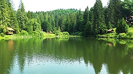 湖,森林,性質(zhì)