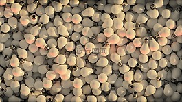 白炽灯,光,灯泡