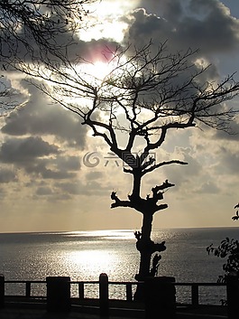 海,太陽,光
