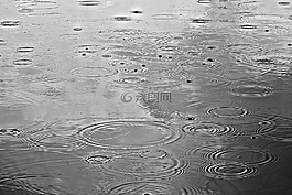 雨,雨滴,水