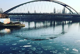 法蘭克福,主要,橋