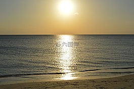 日落,海灘,海洋