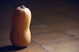 南瓜,橙色