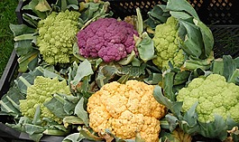 菜花,蔬菜,豐富多彩
