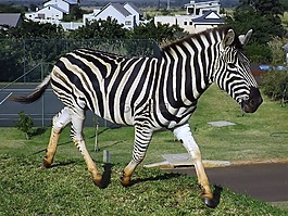 斑馬,南非,野生動物