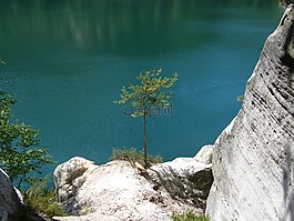 adršpach,波希米亚,松