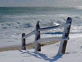 籬笆,海灘,海