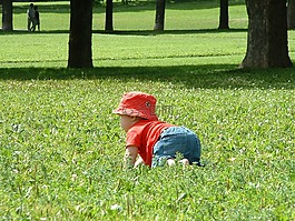 草,兒童,公園