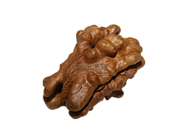 核桃,png,作物