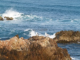 波,冬季,沿海