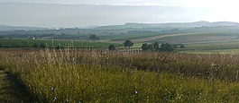 全景,農(nóng)業(yè),morgenstimmung