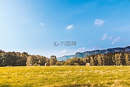 綠色,草,原野