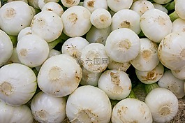 洋葱,年轻的洋葱,蔬菜