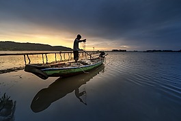 島,越南,魚