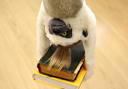 猴子,書籍,掛