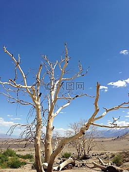 加利福尼亞州,沙漠,天空