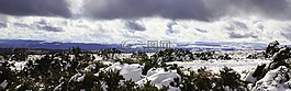 旗幟,標(biāo)題,景觀