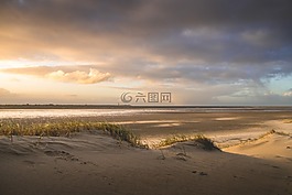 海,海洋,水