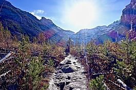 路徑,陽(yáng)光,徒步旅行