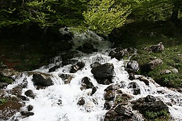 級聯(lián),性質(zhì),河