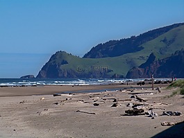 海灘,沙,海洋