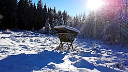 雪,冬天,冷