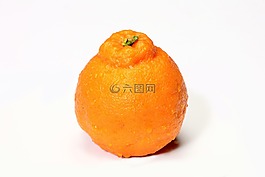 hallabong,濟(jì)州hallabong,橙