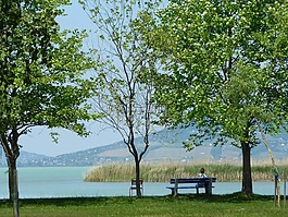 夏季,巴拉頓湖,水