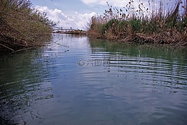 通道,水,橋