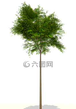 飛行,3d,png