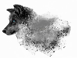 狗,桌面,動物