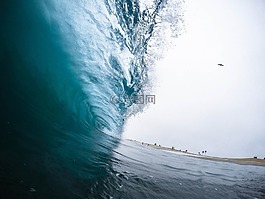 海,海洋,水
