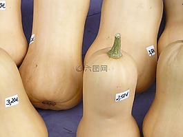南瓜,出售,梨南瓜