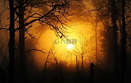 日落,薄霧,霧