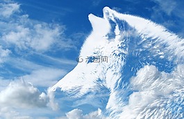 狼,云,天空